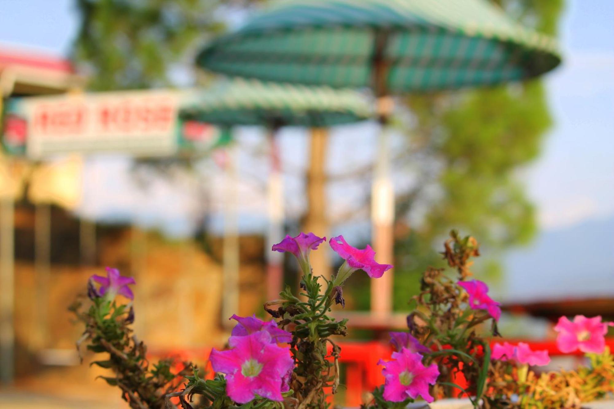 Red Rose Hotel & Resort Mansehra Exteriér fotografie